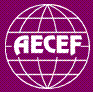 AECEF - The Association of European Civil Engineering Faculties